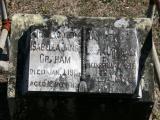 image of grave number 784176